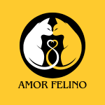 Amor Felino